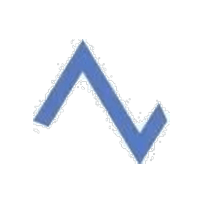 Vinson Consulting SpA